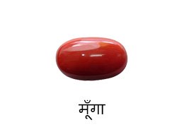 http://www.balajimandirramavihar.org/red-coral-gemstone/